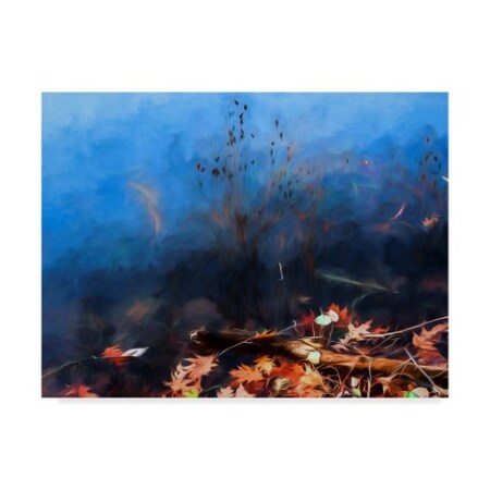 Anthony Paladino 'Colorful Autumn Foliage On Water' Canvas Art,18x24